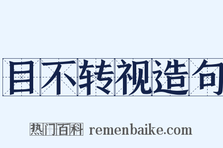 目不转视造句是什么意思的图片